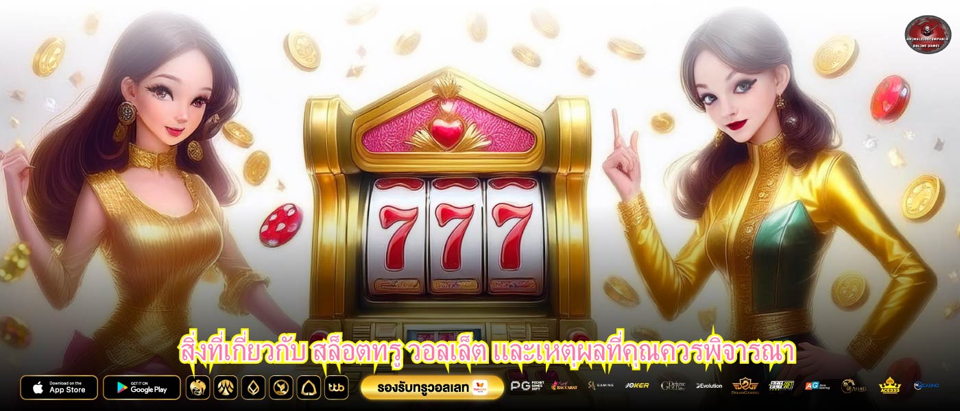 สิ่งที่เกี่ยวกับ สล็อตทรู วอลเล็ต และเหตุผลที่คุณควรพิจารณา